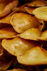 mushrooms closeup