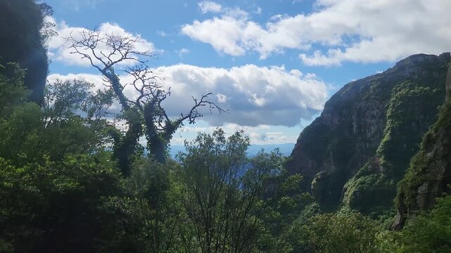 Corvo Branco Gorge &ndash; Santa Catarina&rsquo;s Stunning Mountain Vista