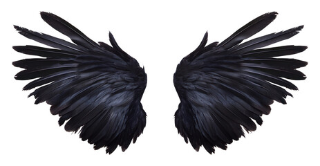 PNG Black feather Wings feathers wings black feathers.