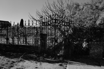 Grille forg&eacute;e et branches nues : seuil silencieux sous lumi&egrave;re d&rsquo;hiver