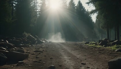 Sunlight streams through trees illuminating a dirt path in a forest scene