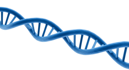 Blue Double Helix D N A Strand Structure Scientific Research Concept, isolated on a transparent background, cutout, PNG