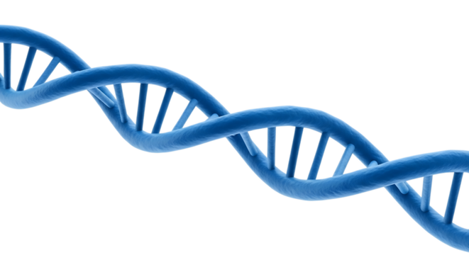 Blue Double Helix D N A Strand Structure Scientific Research Concept, isolated on a transparent background, cutout, PNG