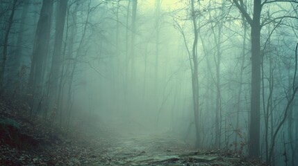 Obraz premium Forest path disappearing into thick fog with bare trees, creating a mysterious and eerie atmosphere in wintry woods