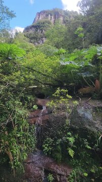 Corvo Branco Gorge Santa Catarina&rsquo;s Stunning Mountain Vista