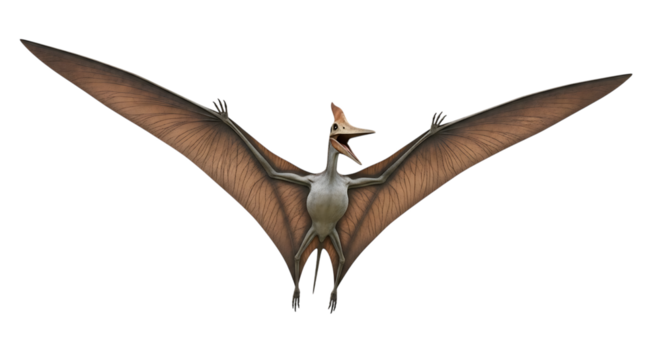 Pterodactyl with outstretched wings and open mouth, isolated on a transparent background, cutout, PNG