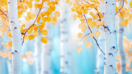 Luminous golden yellow autumn leaves gracefully adorn slender white aspen trees, creating vibrant and serene fall forest scene against soft, dreamy blue backdrop.