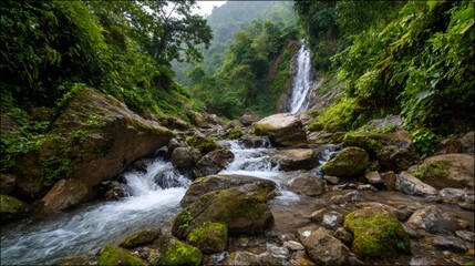 Fototapeta premium Rushing waterfall cascading into a rocky stream flowing through lush green jungle landscape