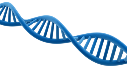 Blue Double Helix D N A Strand Structure Scientific Research Concept, isolated on a transparent background, cutout, PNG