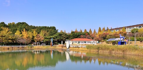 Fototapeta premium 창원 용지호수의 가을 풍경
