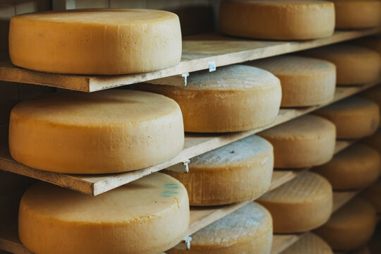 Heads of old cheese on a shelfs at a Italian cheese factory.