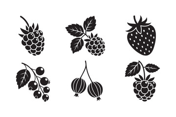 Black and white illustrations of various berries on white background