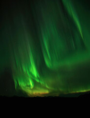Northern lights in Southeast Alaska vertical