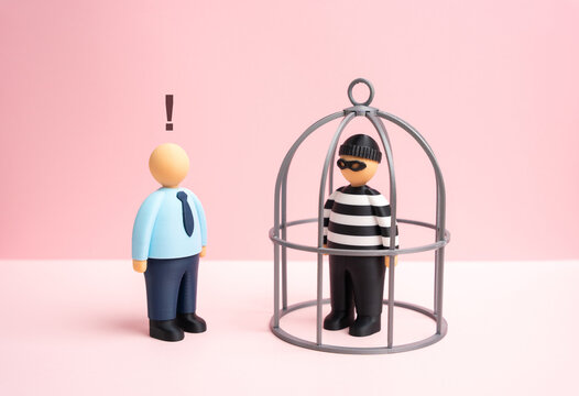 A robber is trapped in a cage. A spy is caught. Identify the swindler. Business espionage. Fraud detection, cybercrime prevention.