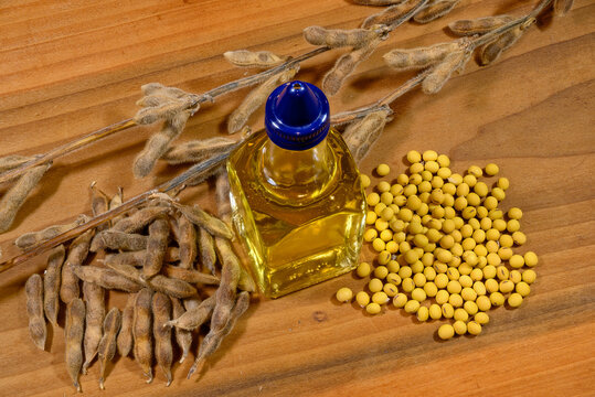 Soybean stalks, dried soybean pods, dried soybeans, soybean oil.  Glycine max, commonly known as soybean in North America or soya bean, is a species of legume grown for its edible bean and oil.