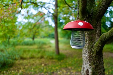 mushroom birdhouse in the forest