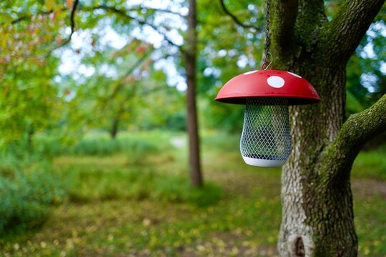 mushroom birdhouse in the forest