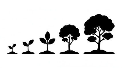 Five stages of tree growth silhouette, from seedling to mature plant, black vector icon set, business progress concept, isolated on white background.