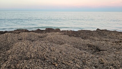 peaceful beach landscape at sunset