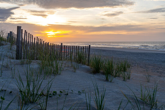 Morning Beach Scene with Sand Fence 