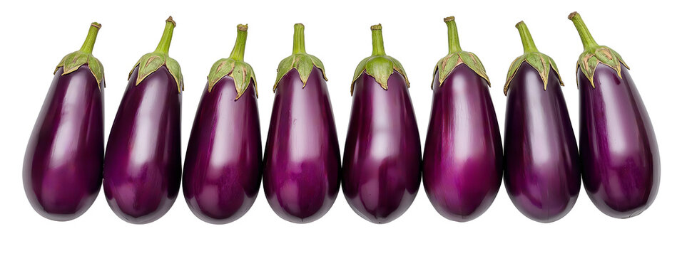 A line of vibrant purple eggplants stands against a transparent background., showcasing their sheen.