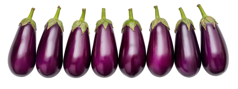 A line of vibrant purple eggplants stands against a transparent background., showcasing their sheen.