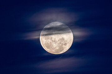 November's 'Beaver' Full Moon Supermoon Rising in the Twilight Eastern Sky