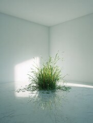 Grass clump in stark white room, marble floor, lit by window