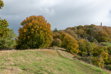 Landscape photo of the autumn colours at Admiral Hood Monument overlooking the village of Compton Dundon in somerset