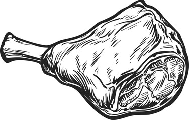Meat leg sketch, hand drawn style with detailed bone and texture — stock vector