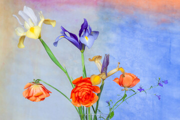 spring flowers on a wooden background