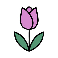 Stylized Single Tulip Flower on a White Background for Ornamental Purposes