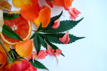 Cannabis leaf with citrus and rose petals