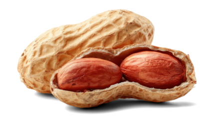 peanuts on a white background
