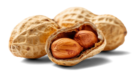 peanuts on a white background