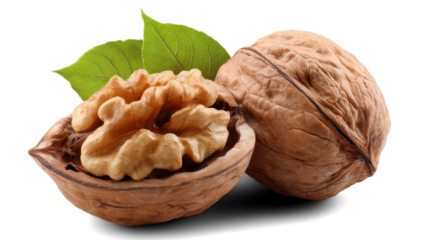 walnuts with leaves on white background