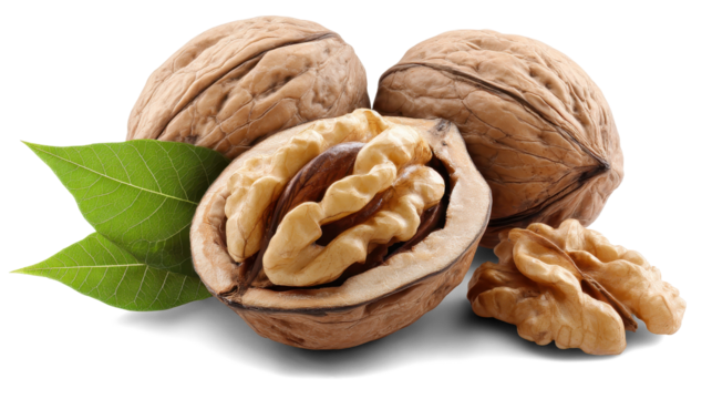 walnuts with leaves on white background
