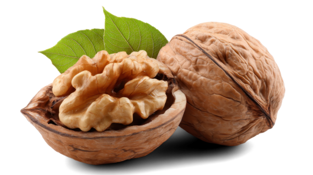 walnuts with leaves on white background