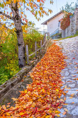 Steep Cobblestone Path Lined with Abundant Orange and Red Autumn Leaves in the Traditional Vlach Village of Avdella, Pindos, Greece