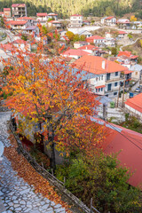 Vertical View of the Traditional Houses and Red Rooftops of Avdella Village, Pindos, Greece, Framed by a Tree in Intense Autumn Colors