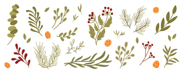 Kraft holiday flat plant branch and floral berry decor. Collection of green pine and fir with new years elements as festive decor. Modern holiday gift box theme for seasonal event. © moonnoon