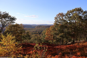 Fototapeta premium Beautiful panoramic landscape view of lush fall foliage and vibrant colors from a mountain top overlooking other mountains and valleys. 