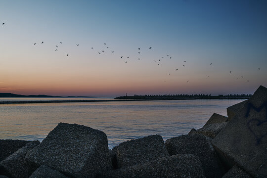 Seabirds flying over Adriatic Sea at Pescara sunset.