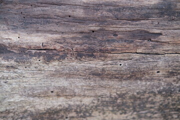 brown wood texture, dark wooden abstract background

