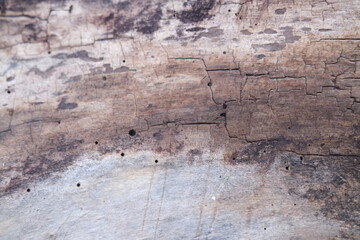 brown wood texture, dark wooden abstract background
