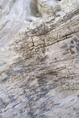 brown wood texture, dark wooden abstract background
