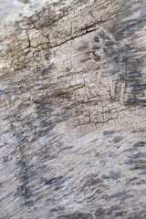 brown wood texture, dark wooden abstract background

