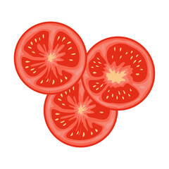 Tomato slice vector