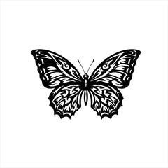 butterfly silhouette vector on white bacground