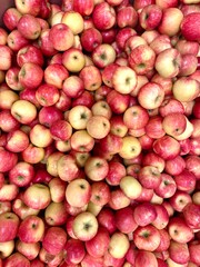 Fresh Red Apples in Bulk at Market